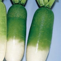 野菜の種の画像