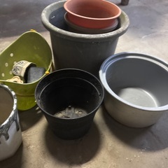 ガーデニングセット大量の画像
