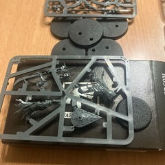 ウォーハンマー　AOS ヴィンディクター5体の画像