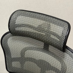 エルゴヒューマンプロ 定価10万円超の画像