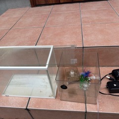 酸素付き水槽の画像