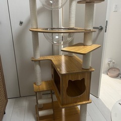 キャットタワーの画像