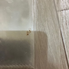 無印良品 B5 ファイルの画像