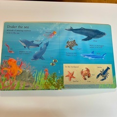 洋書 First Picture Animals Usborneの画像