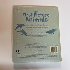 洋書 First Picture Animals Usborneの画像