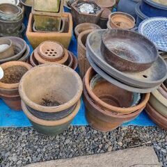 🌷陶器植木鉢各種🌷100円～の画像
