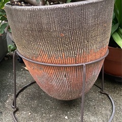 レモンの植木　鉢　鉢台　の画像