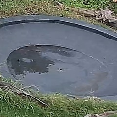 隙間バイト 長生村宿泊施設での清掃です。の画像