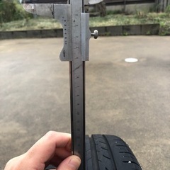 SSRビエナの画像
