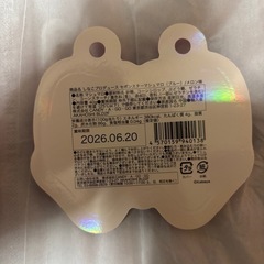 サンリオ　パンダハローキティ　キラもこリボン毛布（全1種）①の画像