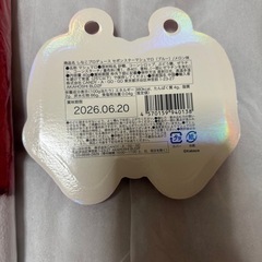 サンリオ　パンダハローキティ　キラもこリボン毛布（全1種）③の画像