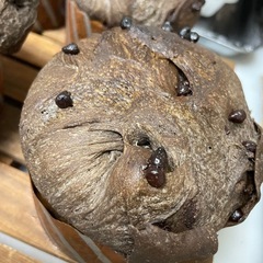 愛媛・松山市｜パン教室 5名限定！即決で半額チャンスの画像