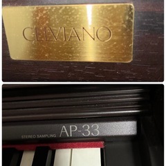 CASIO CELVIANO の画像