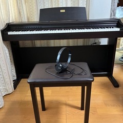 CASIO CELVIANO の画像