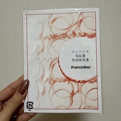 セミダブルベッド(フランスベッド)の画像