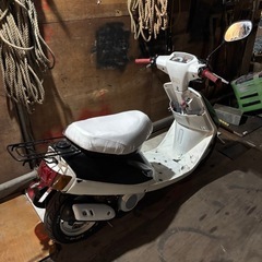 スポーツジョグの画像