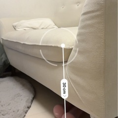 ニトリソファの画像