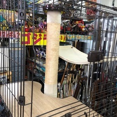 ⭐️隠れ家キャットランドゲージ⭐️の画像
