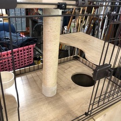 ⭐️隠れ家キャットランドゲージ⭐️の画像