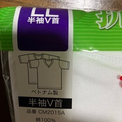 C 　半袖V首シャツの画像