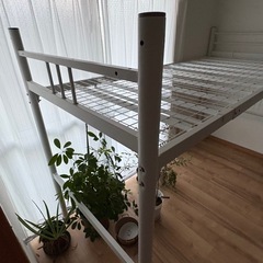 ロフトベッドの画像
