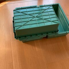 メダカ　飼育　ボックス３つセットの画像