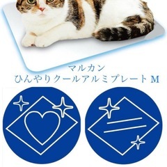 ひんやりクールアルミプレート M   　犬用　　　　の画像