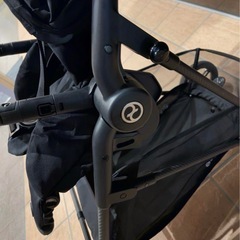 メリオカーボンの画像