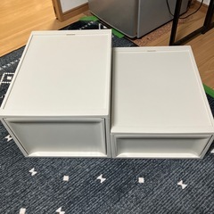 【自宅引取のみ】収納ケース 奥行50cm 幅 37.65cm MサイズとLサイズのセットの画像