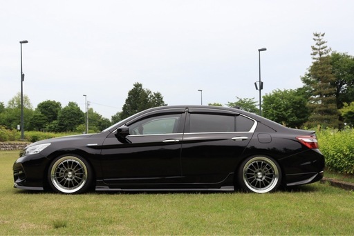 ssr professor tf1 ホイール