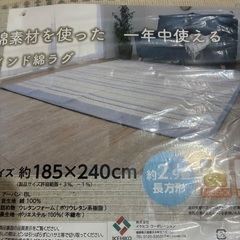 オールシーズン用 新品カーペットの画像
