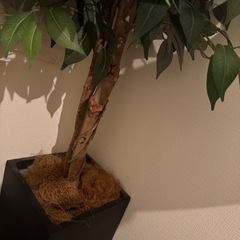 フェイクグリーン　170センチの画像
