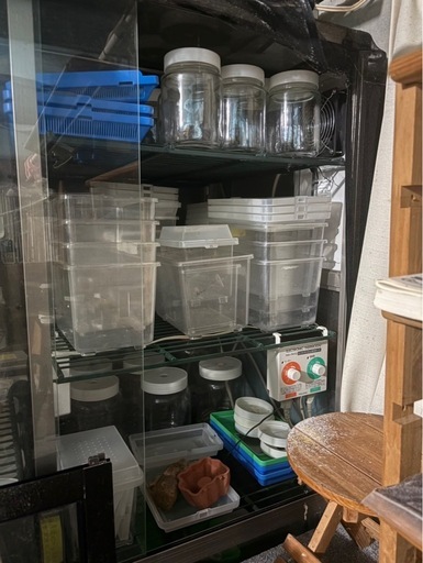 【引取り限定】昆虫飼育セット一式
