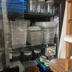 昆虫飼育セット一式の画像