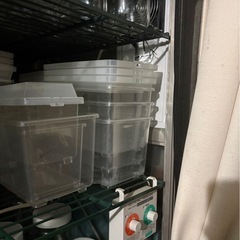 昆虫飼育セット一式の画像