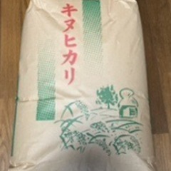 令和7年産キヌヒカリ②【一度味わってみてください】の画像