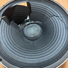 Electro-Voice EVM-15Lの画像