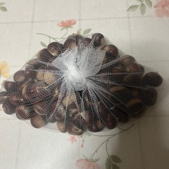 ［終了］栗の画像