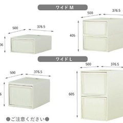【自宅引取のみ】収納ケース 奥行50cm 幅 37.65cm MサイズとLサイズのセットの画像