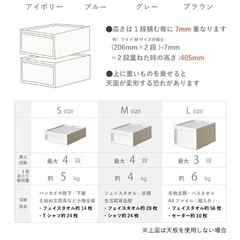 【自宅引取のみ】収納ケース 奥行50cm 幅 37.65cm MサイズとLサイズのセットの画像