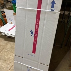 ネギ出荷用箱の画像