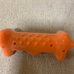 ion SHALELLEの画像