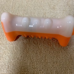 ion SHALELLEの画像