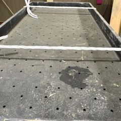 苗箱の画像