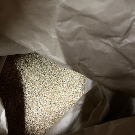 令和7年　新米　豊川産コシヒカリまたはあいちのかおり　玄米　30キロ 令和7年新米豊川産コシヒカリまたはあいちのかおり玄米30キロ (にいこ