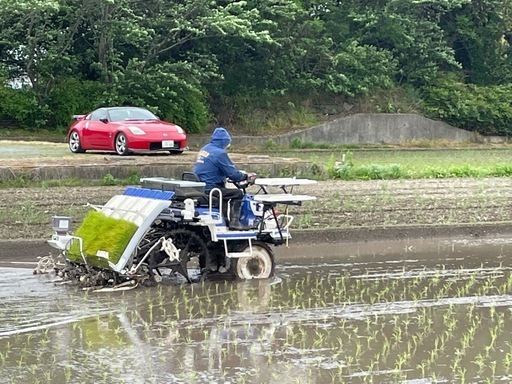 令和7年新米豊川産コシヒカリまたはあいちのかおり玄米30キロ (にいこ