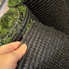 人工芝マットの画像