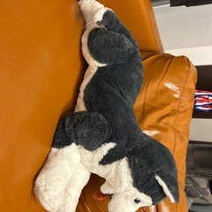 IKEAハスキーぬいぐるみの画像
