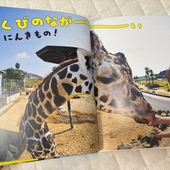 絵本3冊セットの画像