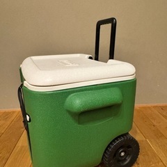 コールマン！の画像